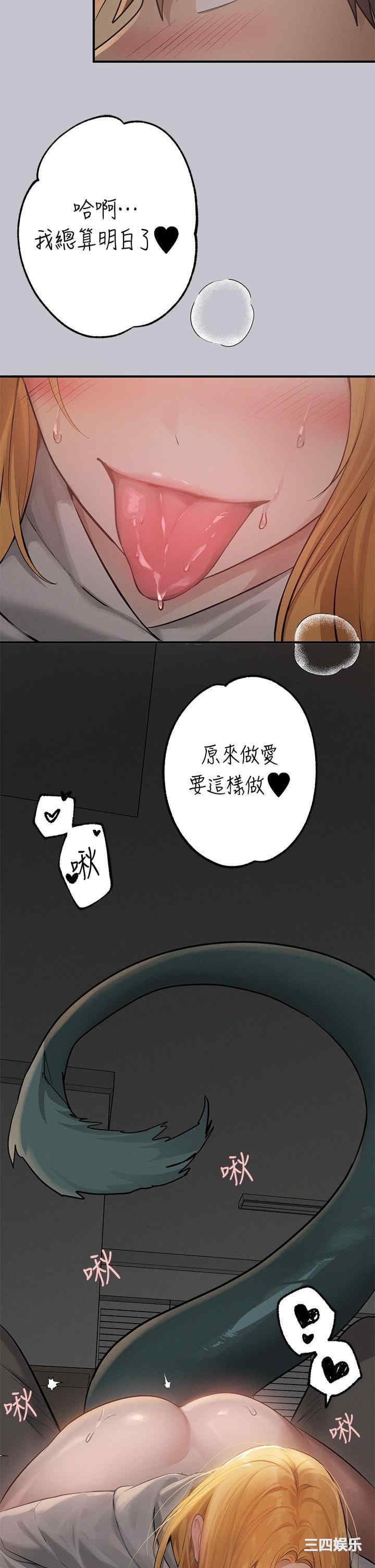 第38张