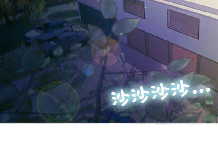 第4张