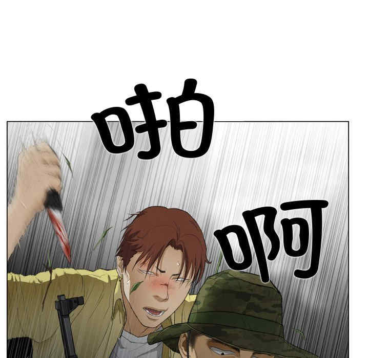 第33张