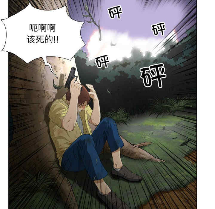 第48张
