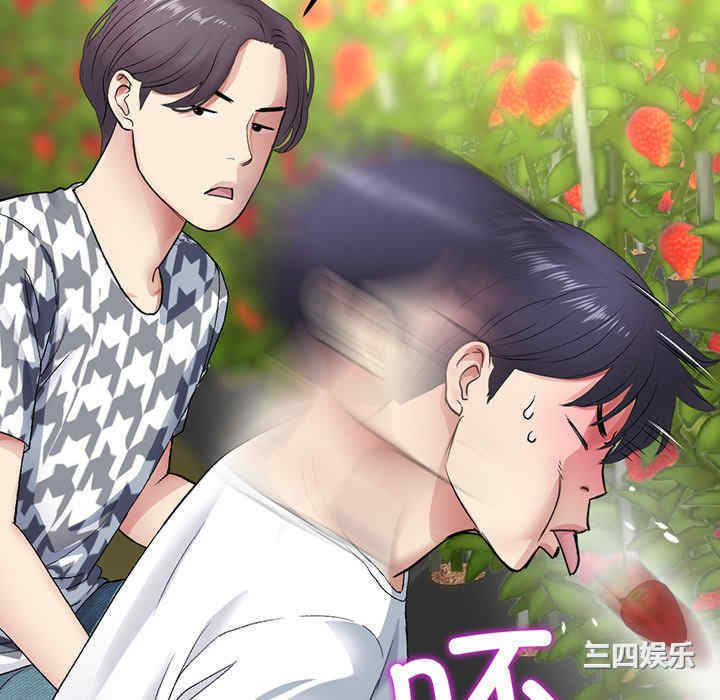 第17张