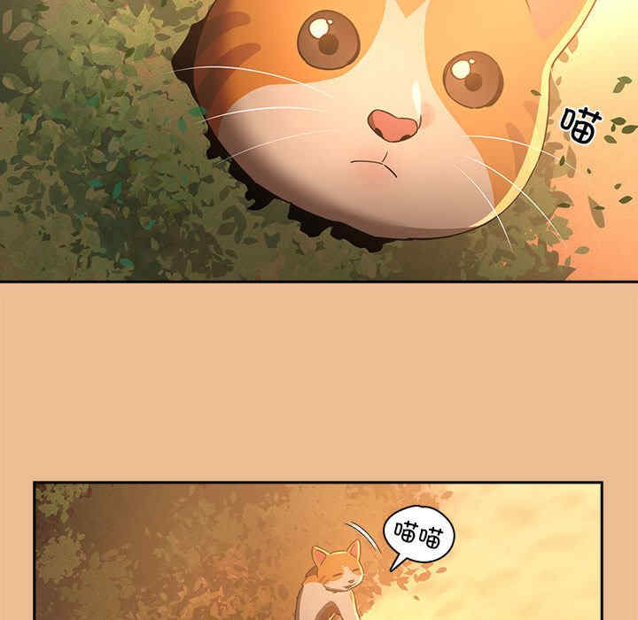 第71张