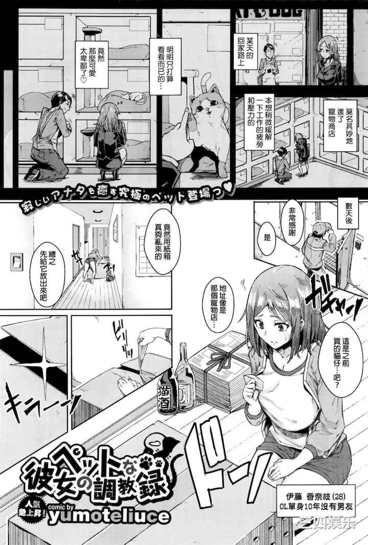 第17张