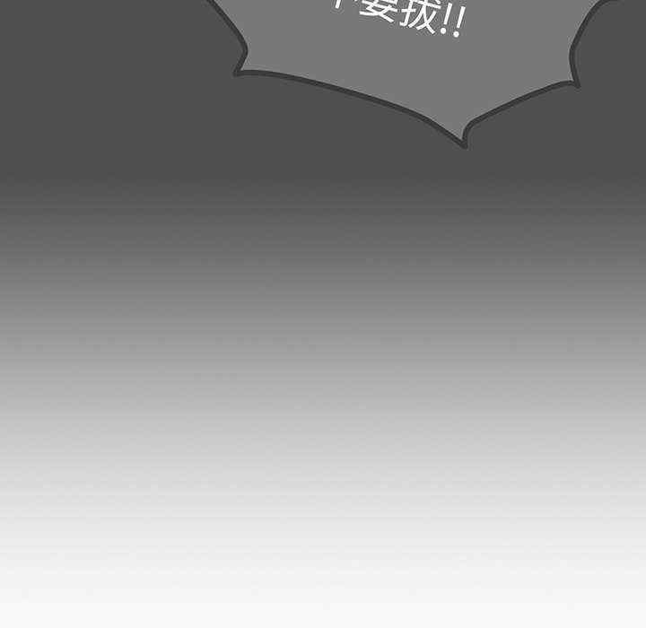第49张
