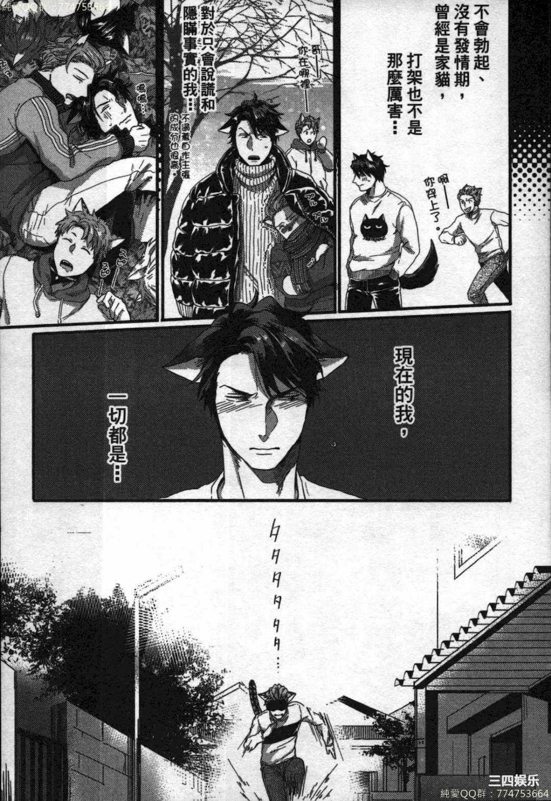 第21张