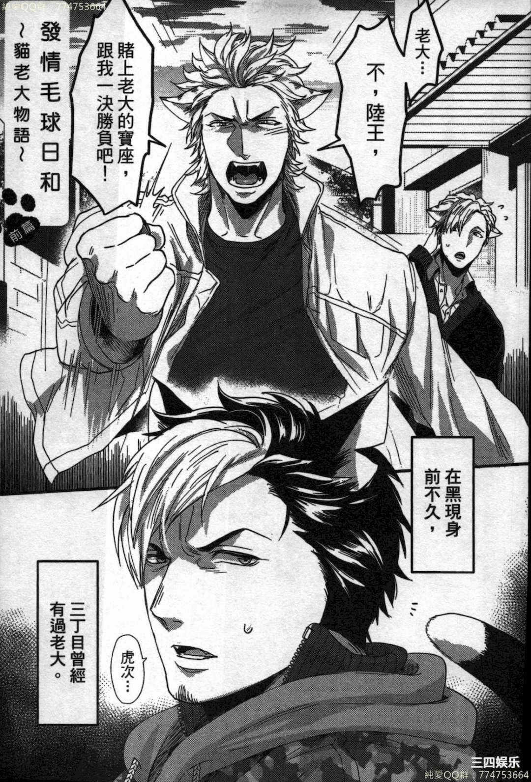 第19张