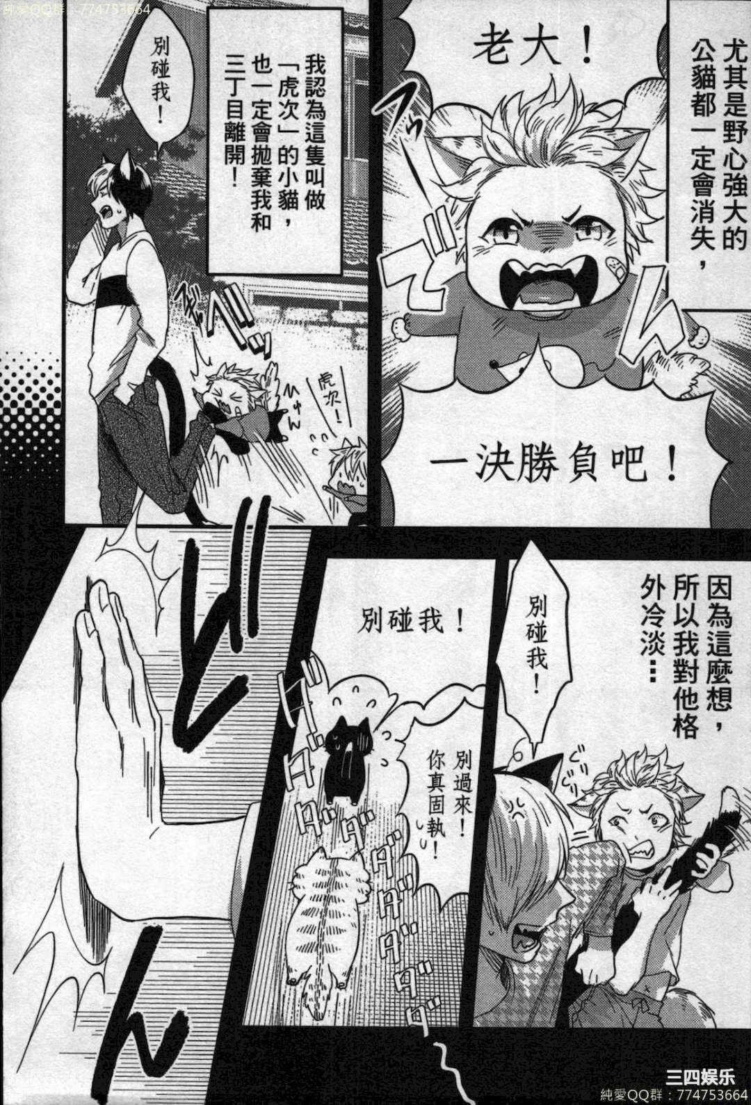 第20张