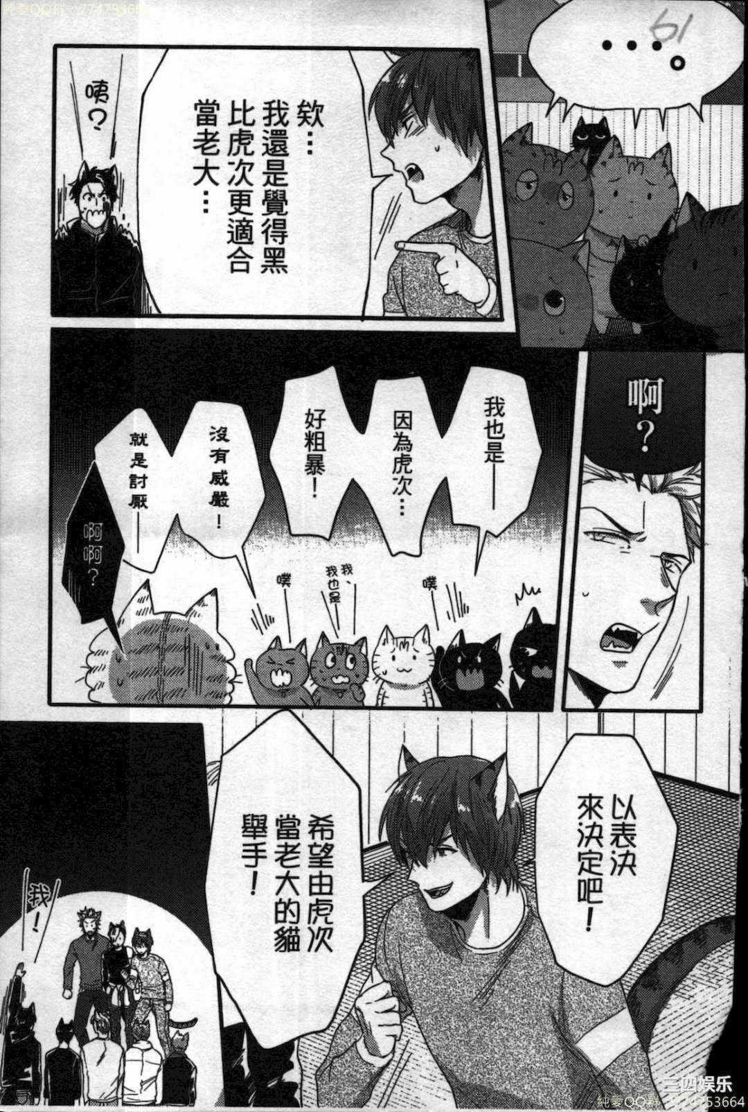 第21张