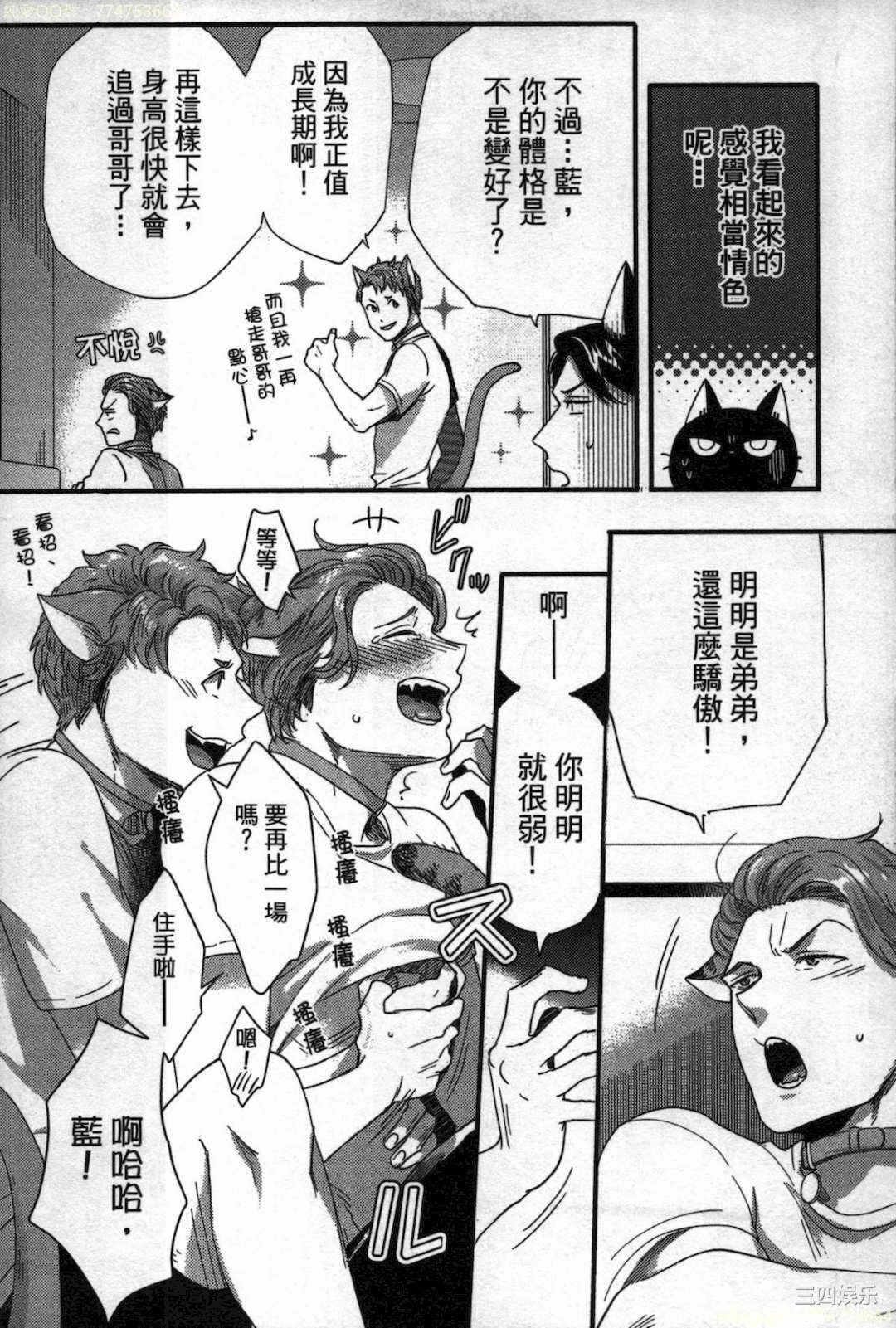 第21张