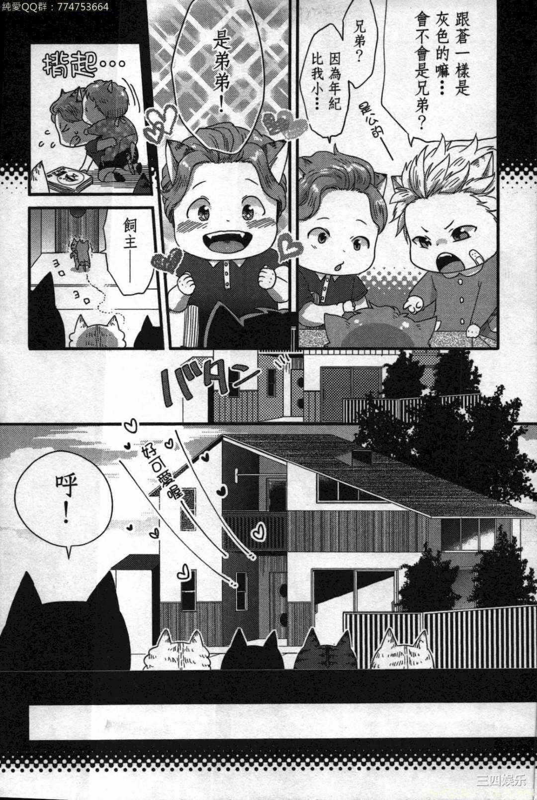 第19张