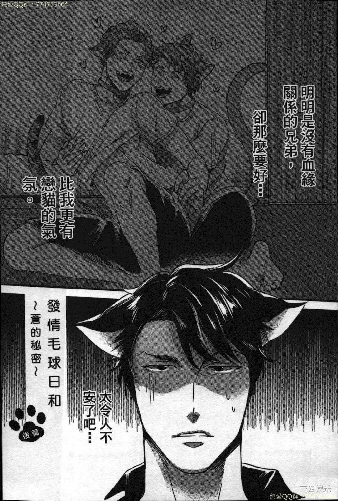 第21张