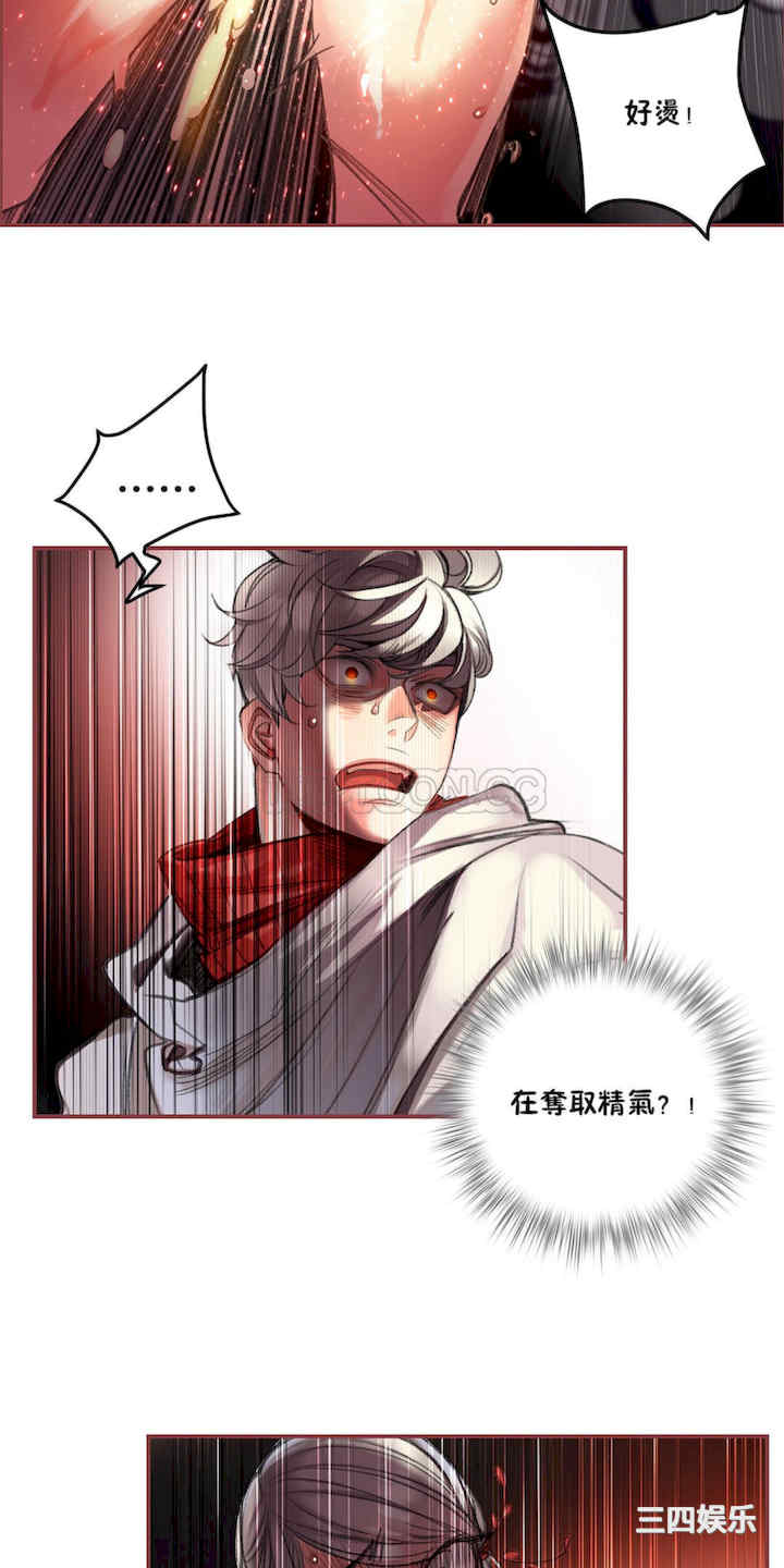 第42张