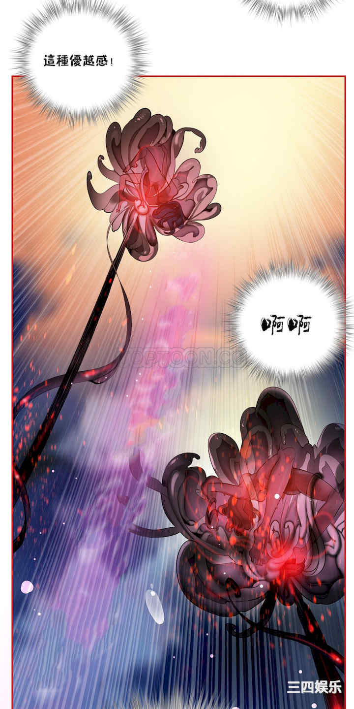 第57张