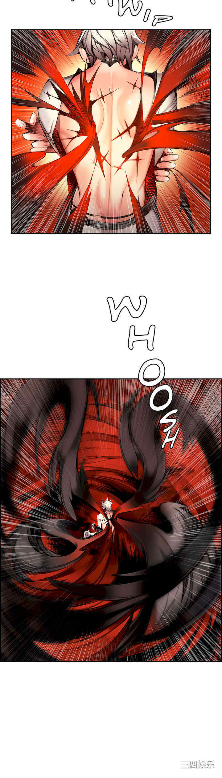 第5张