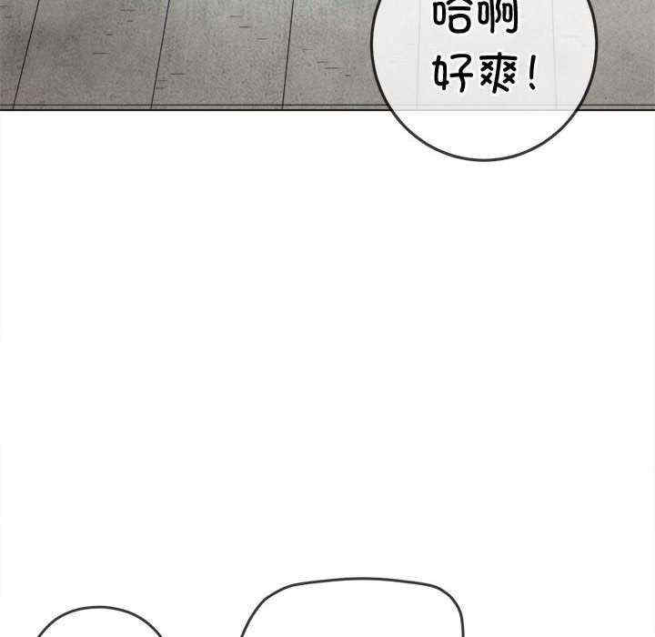 第117张