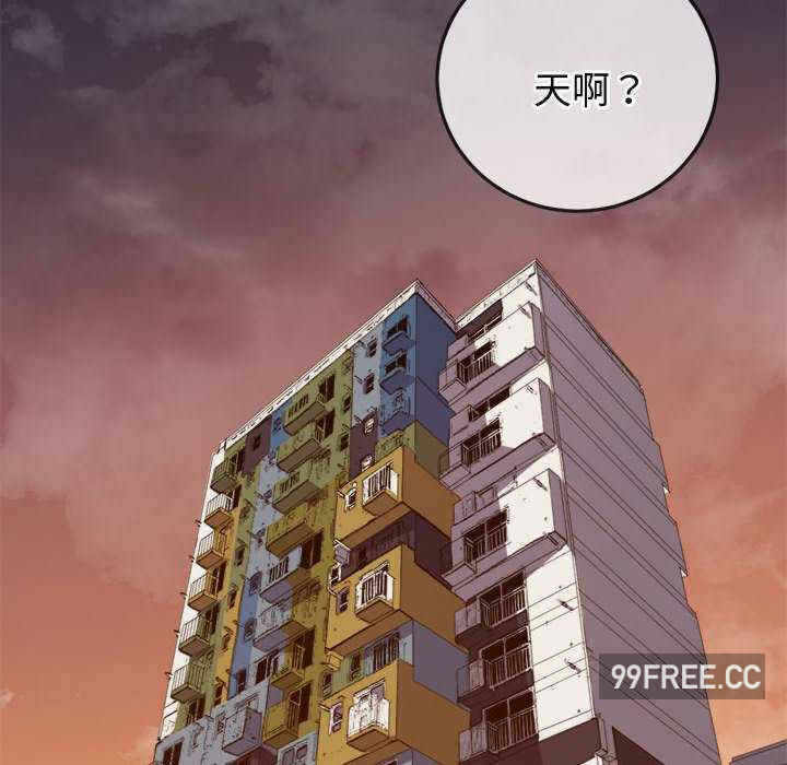 第58张