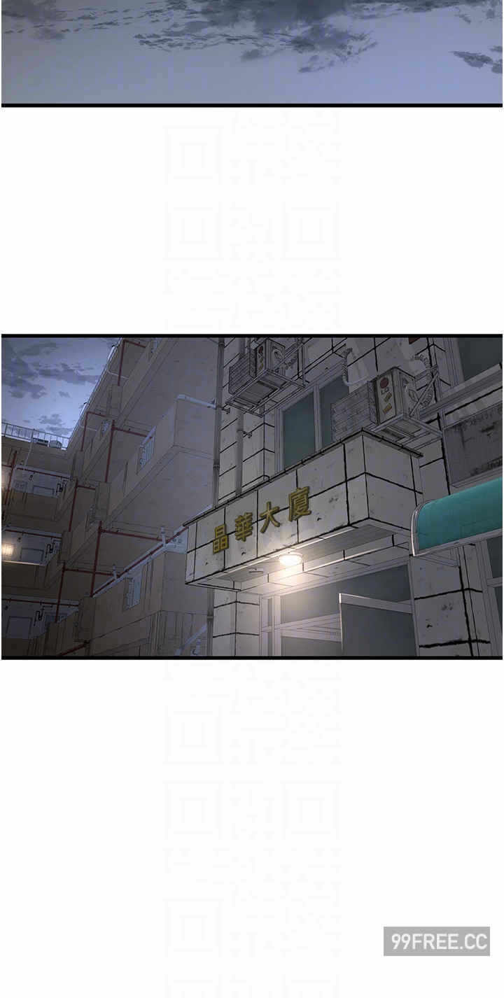 第24张