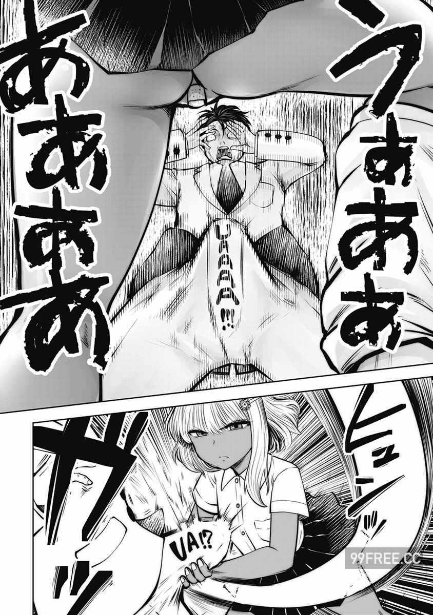 第17张
