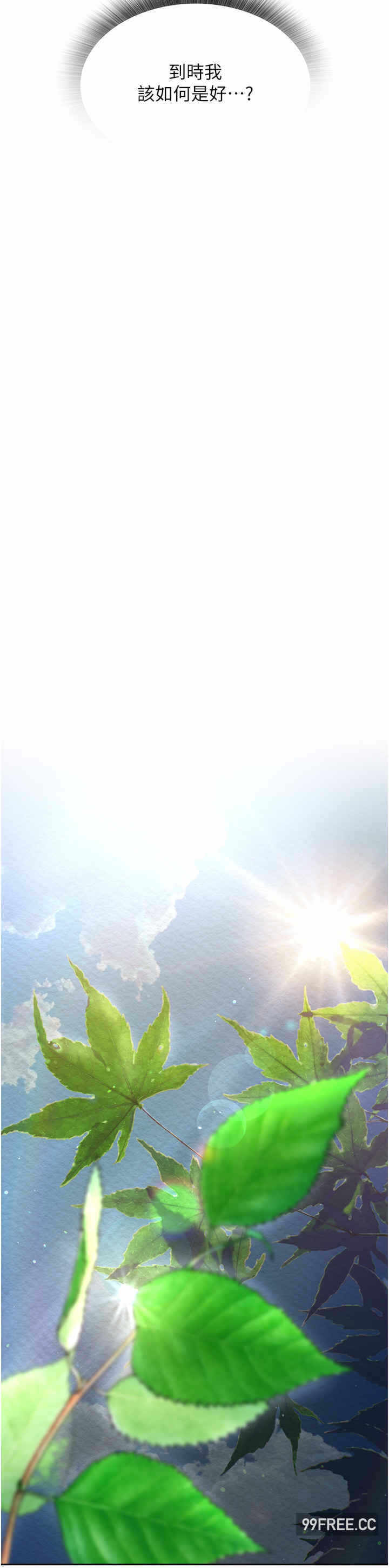 第31张