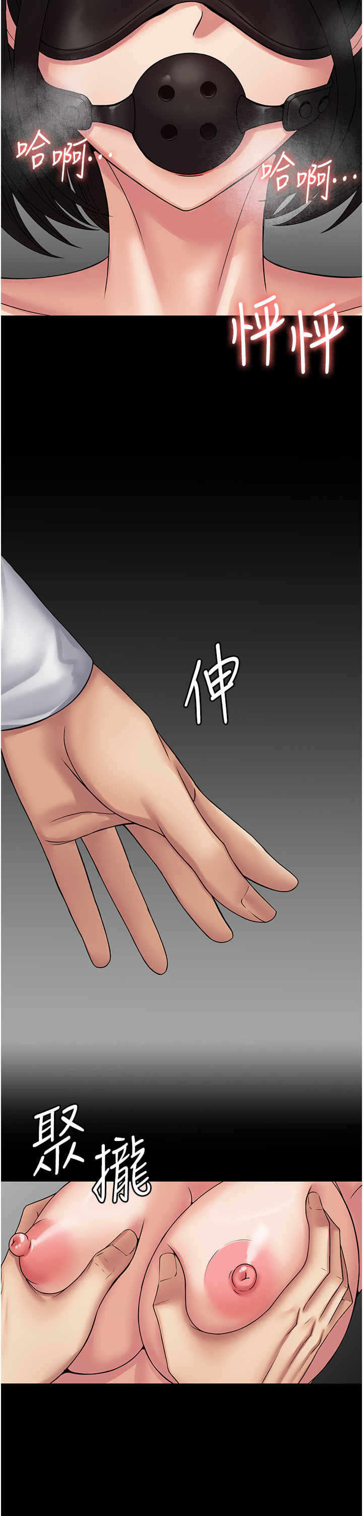 第5张