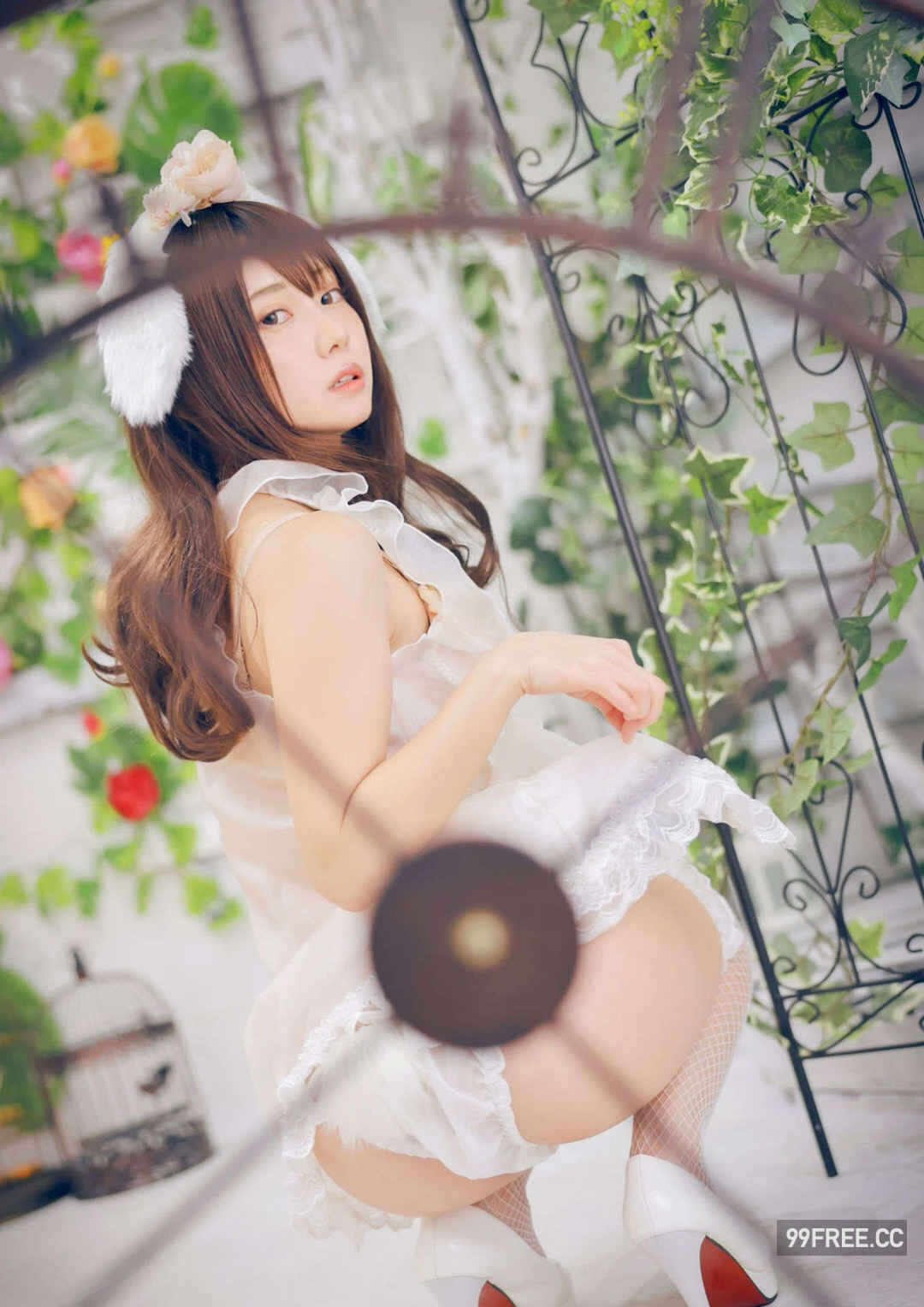 第20张