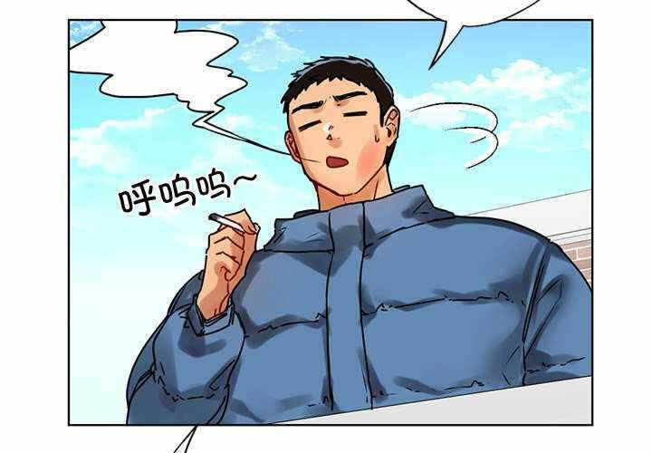 第3张