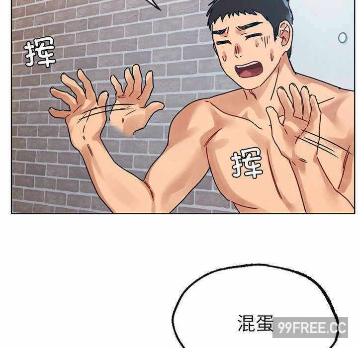 第117张