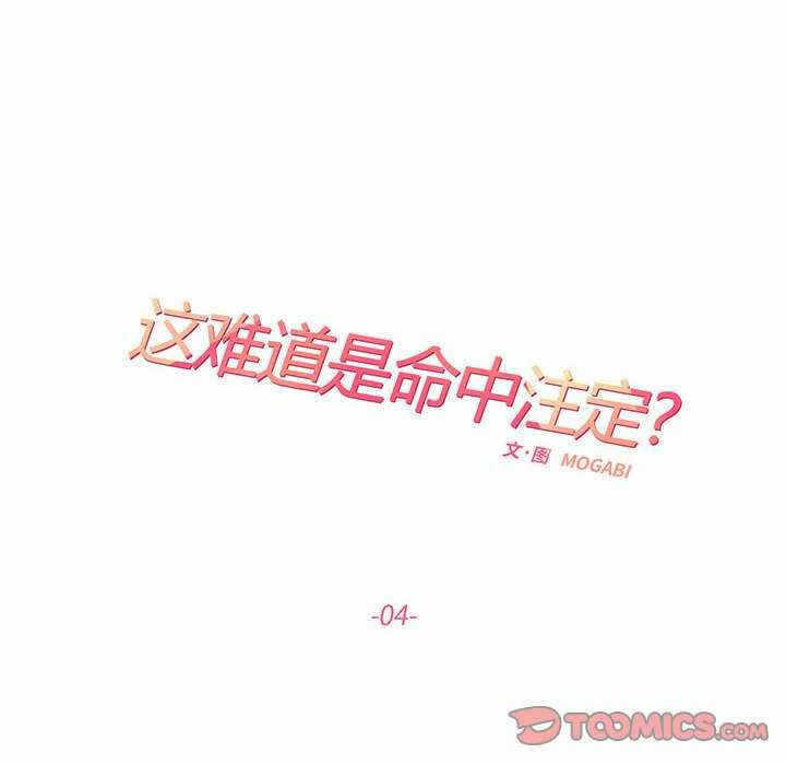 第6张
