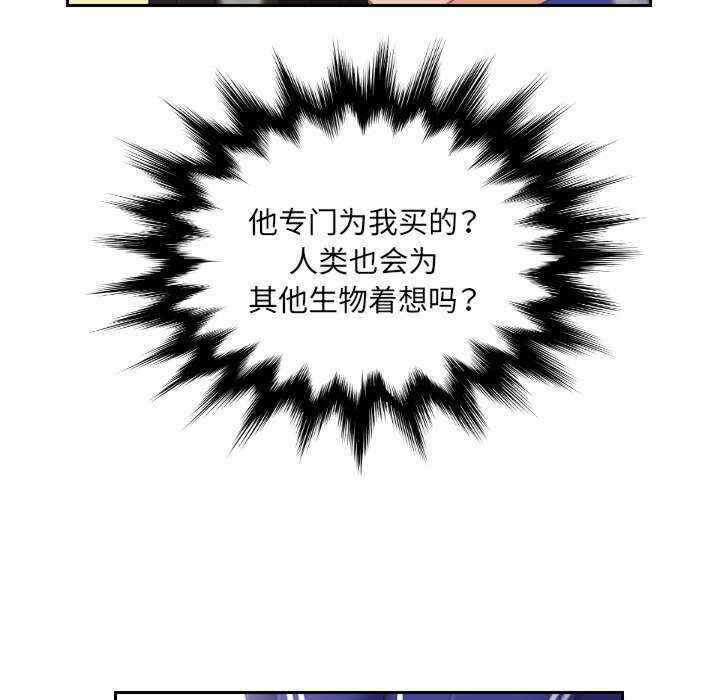 第39张