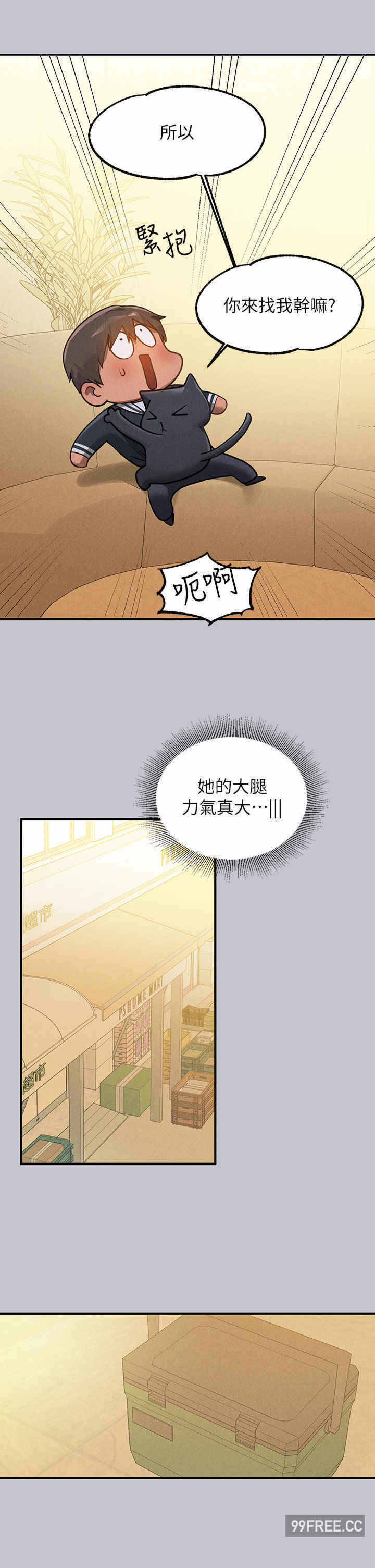 第29张
