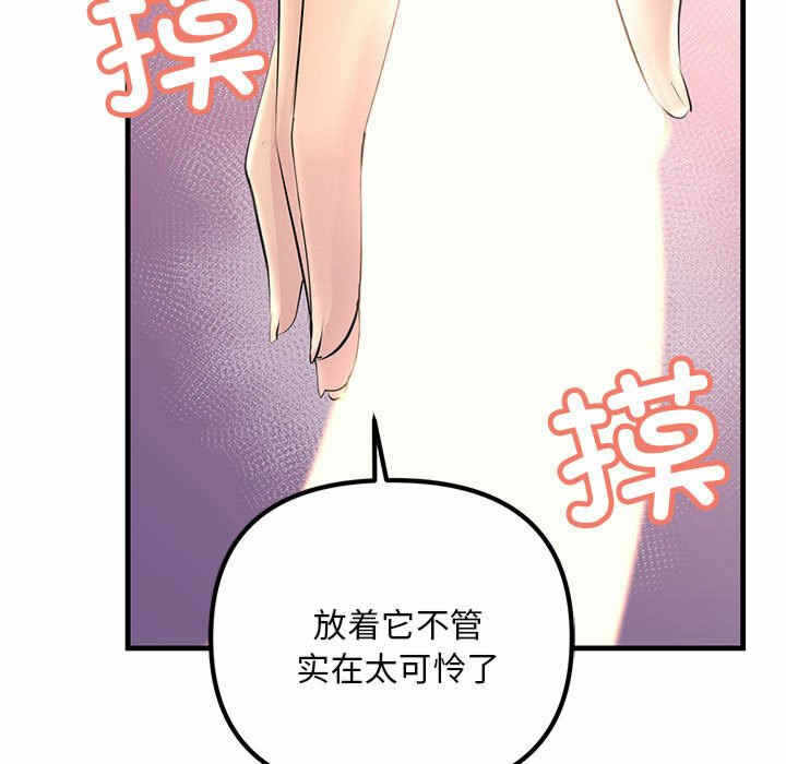 第41张