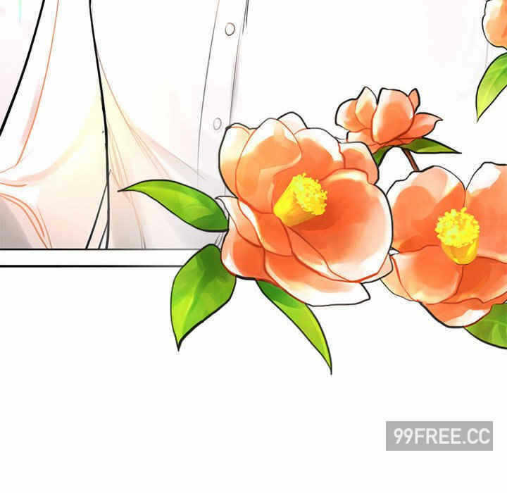 第168张