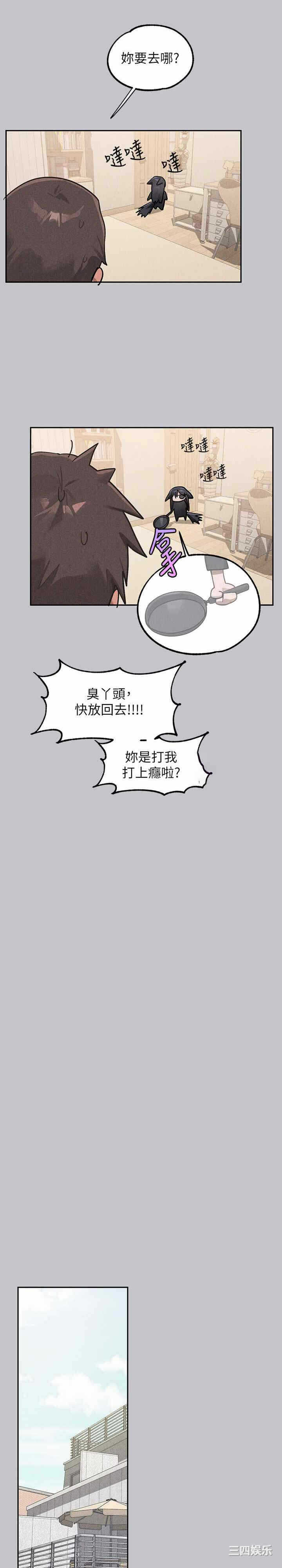 第31张