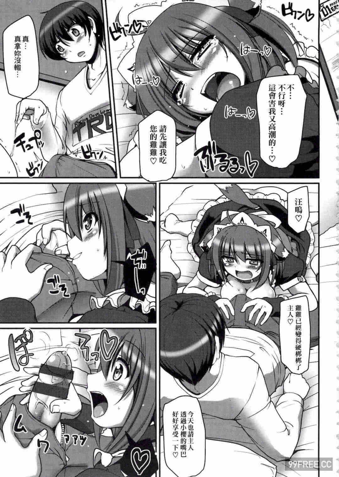 第6张