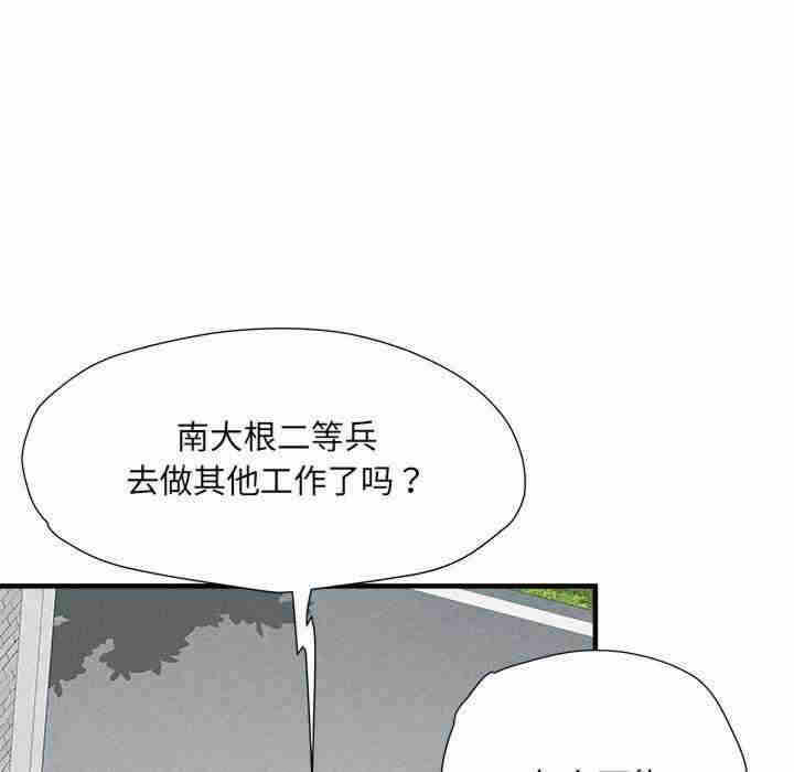 第73张