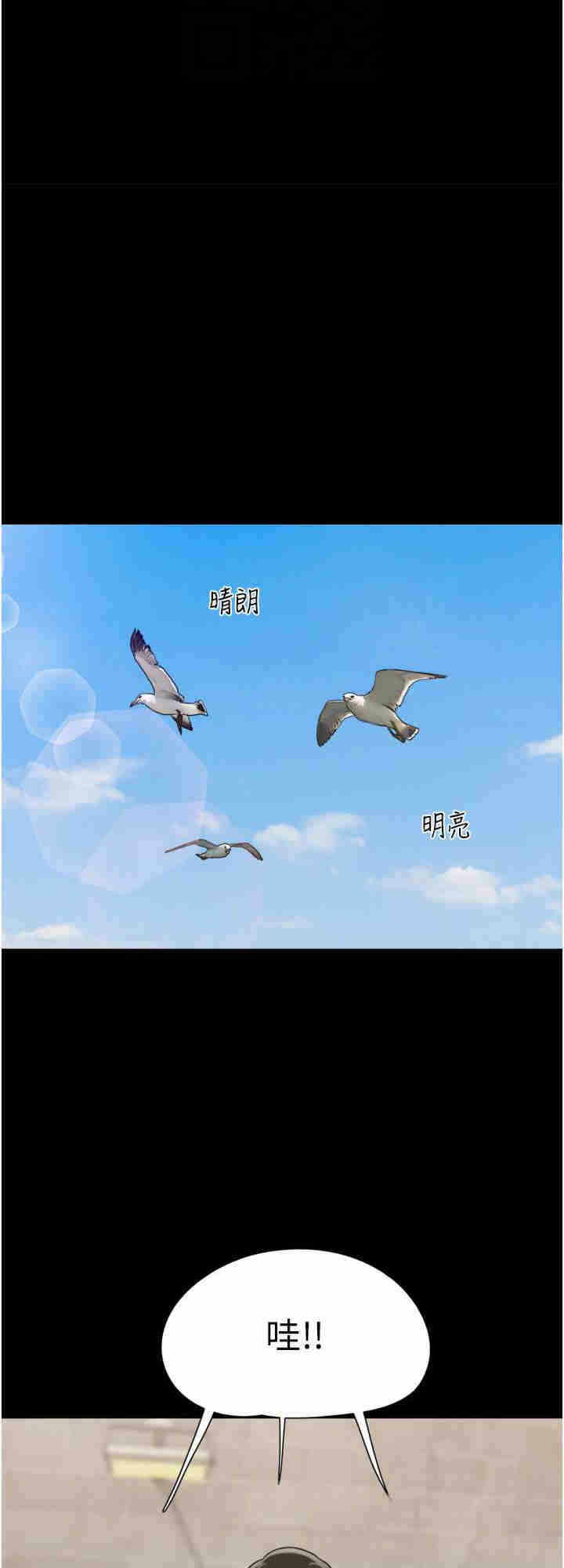 第24张