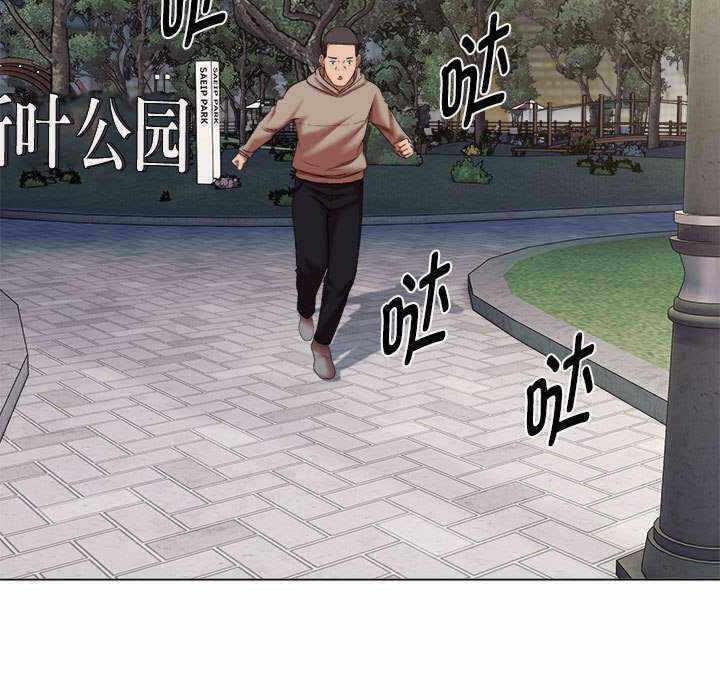 第43张