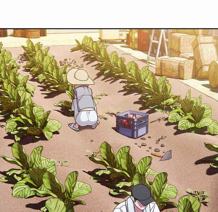 第116张