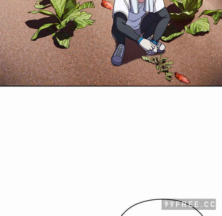 第117张