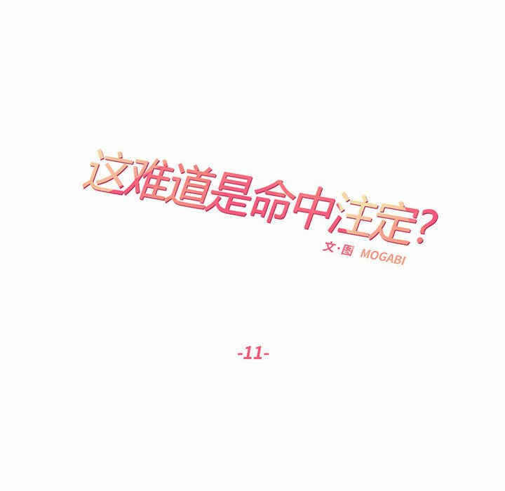 第20张