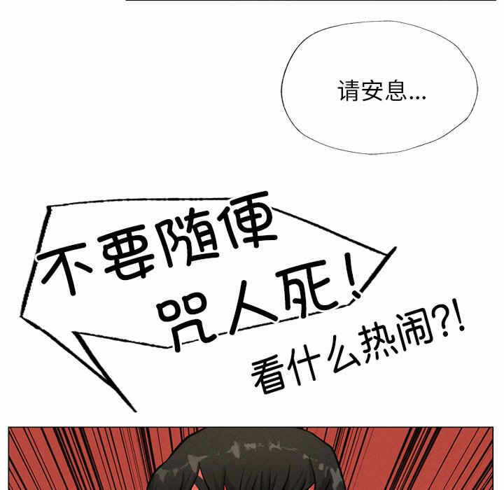 第17张