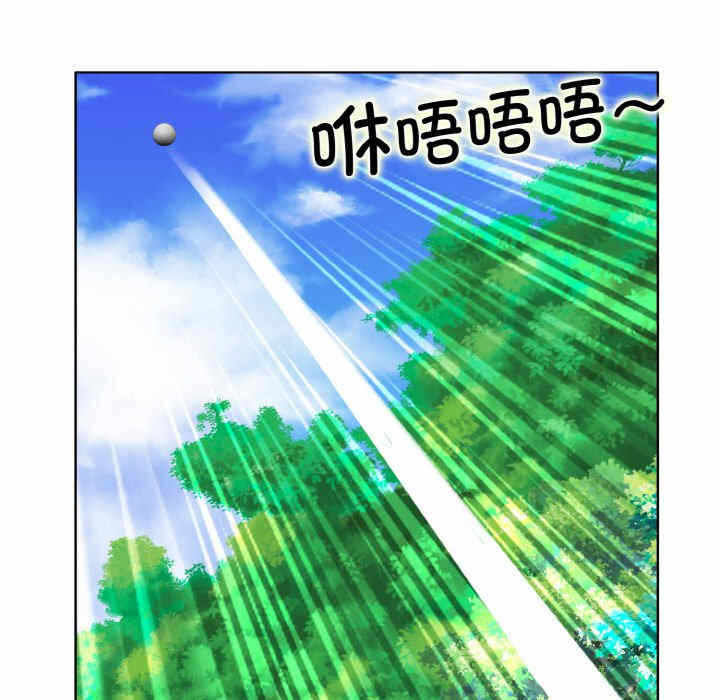 第13张