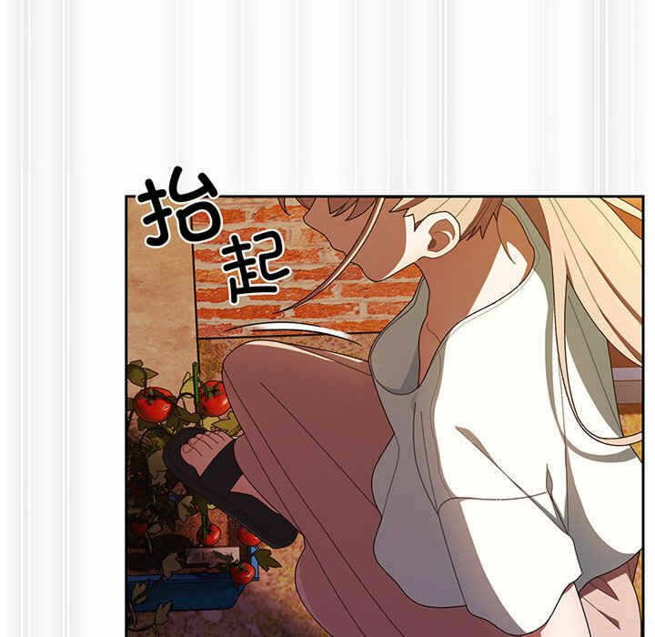 第65张