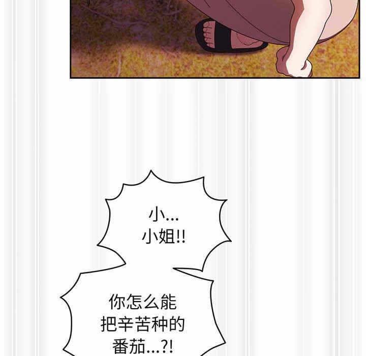 第66张