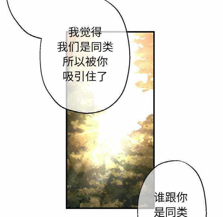第76张