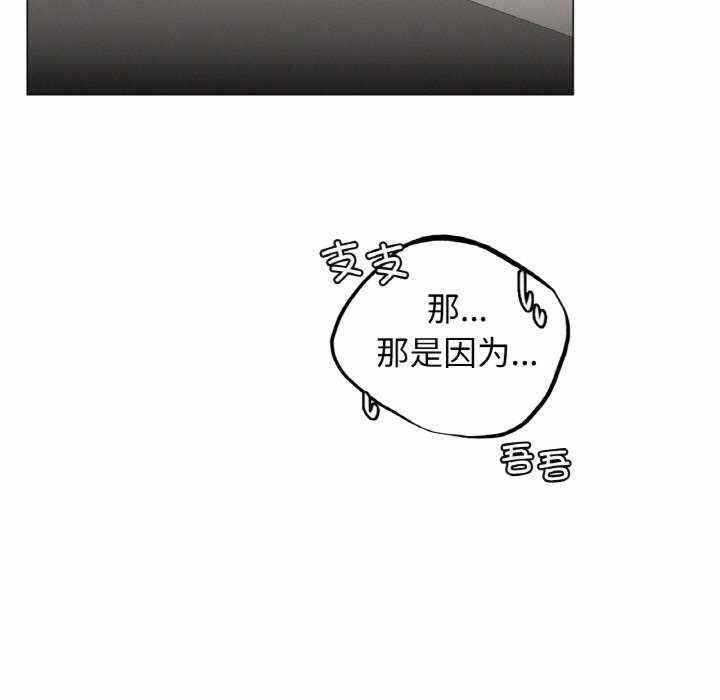 第88张