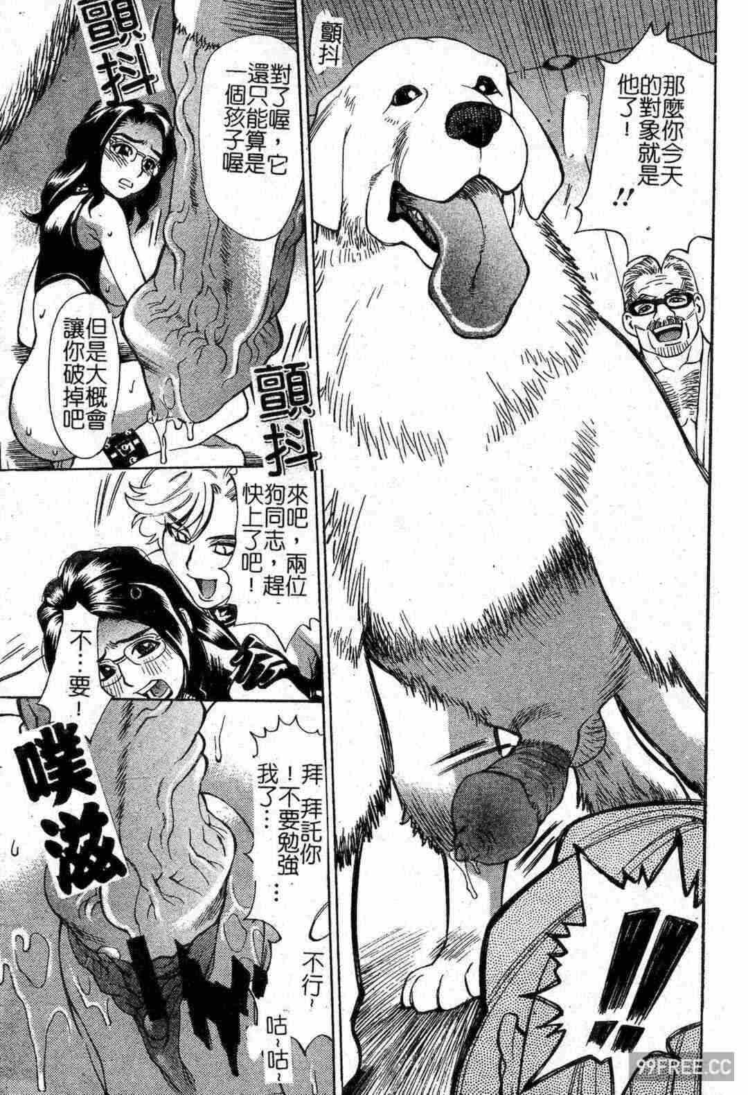 第10张