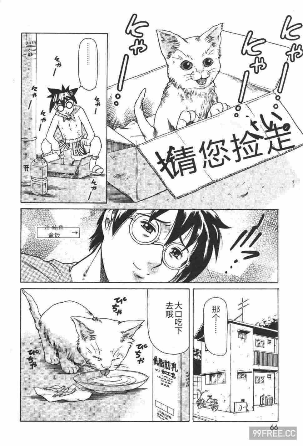 第19张