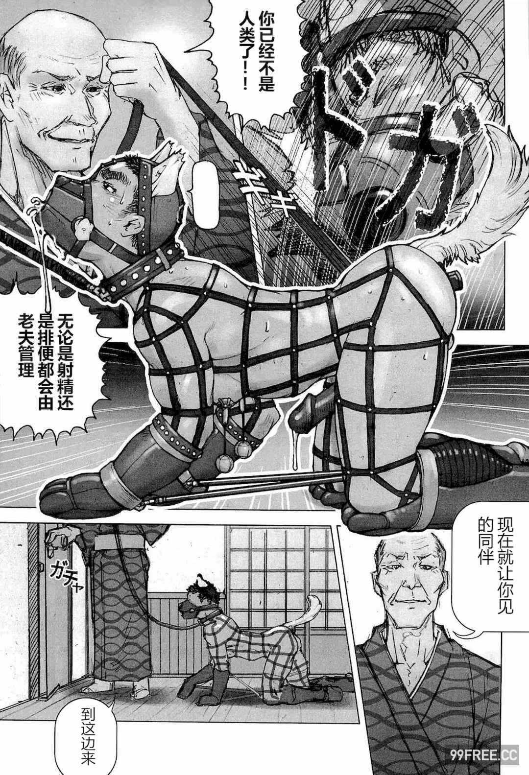 第16张