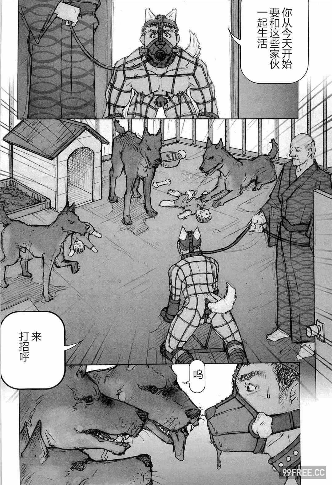 第17张